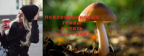 дживик Кинешма