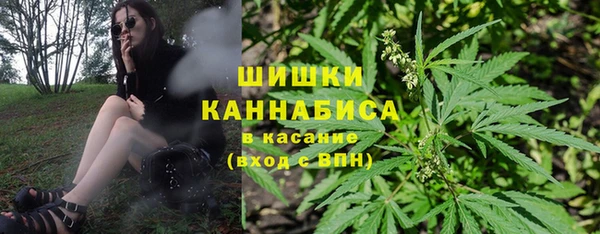 дживик Кинешма