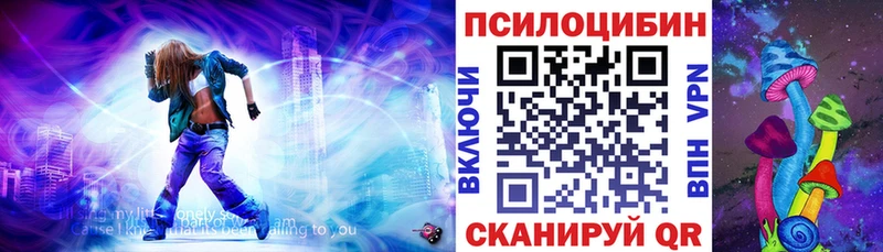 Псилоцибиновые грибы мицелий  Купить где  Курчалой 